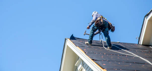Best Roof Gutter Cleaning  in Cuba City, WI
